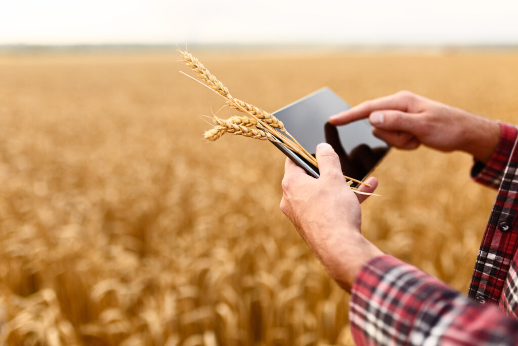 agritech vertone cabinet de conseil stratégie management