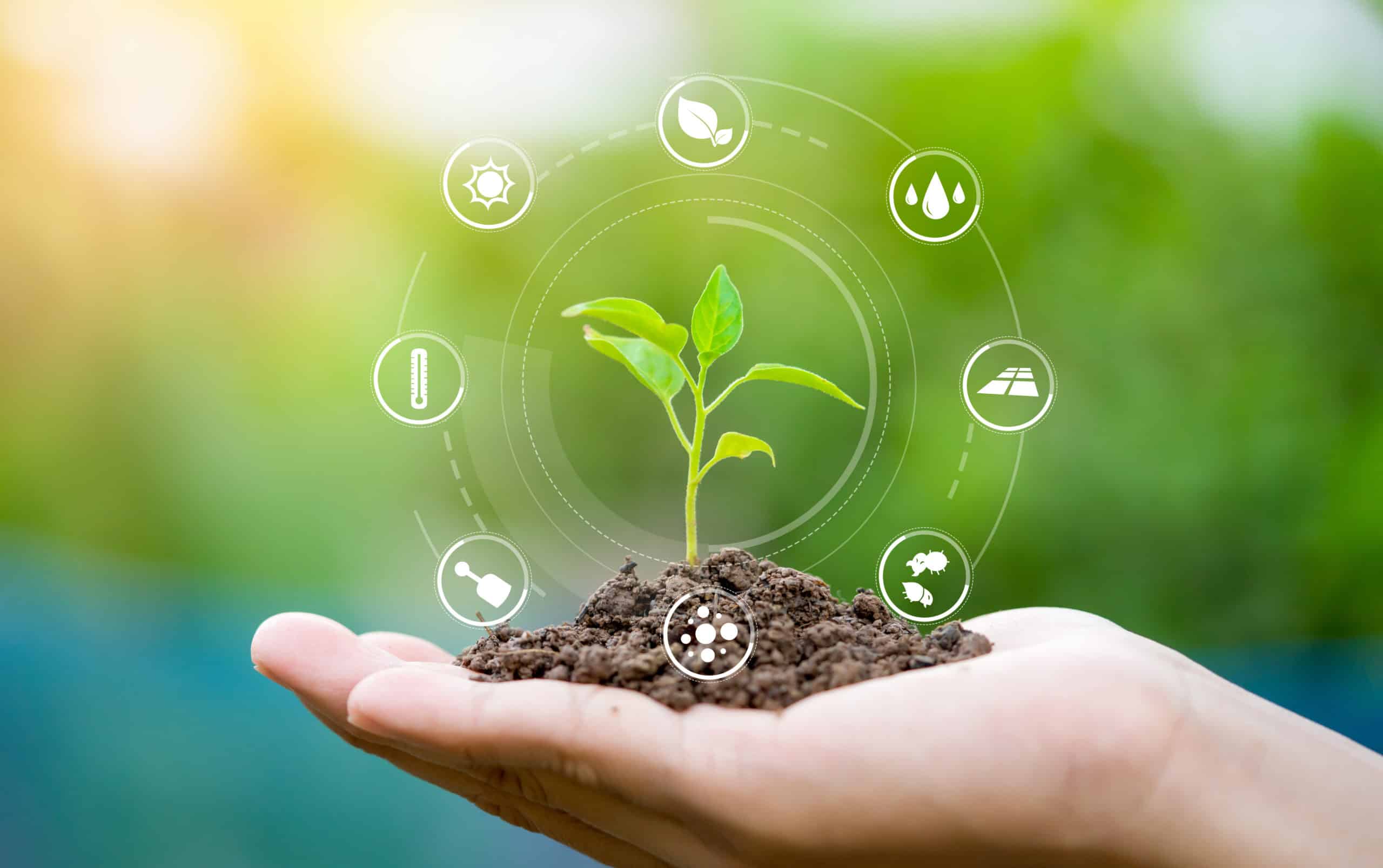 VERTONE cabinet de conseil stratégie et management