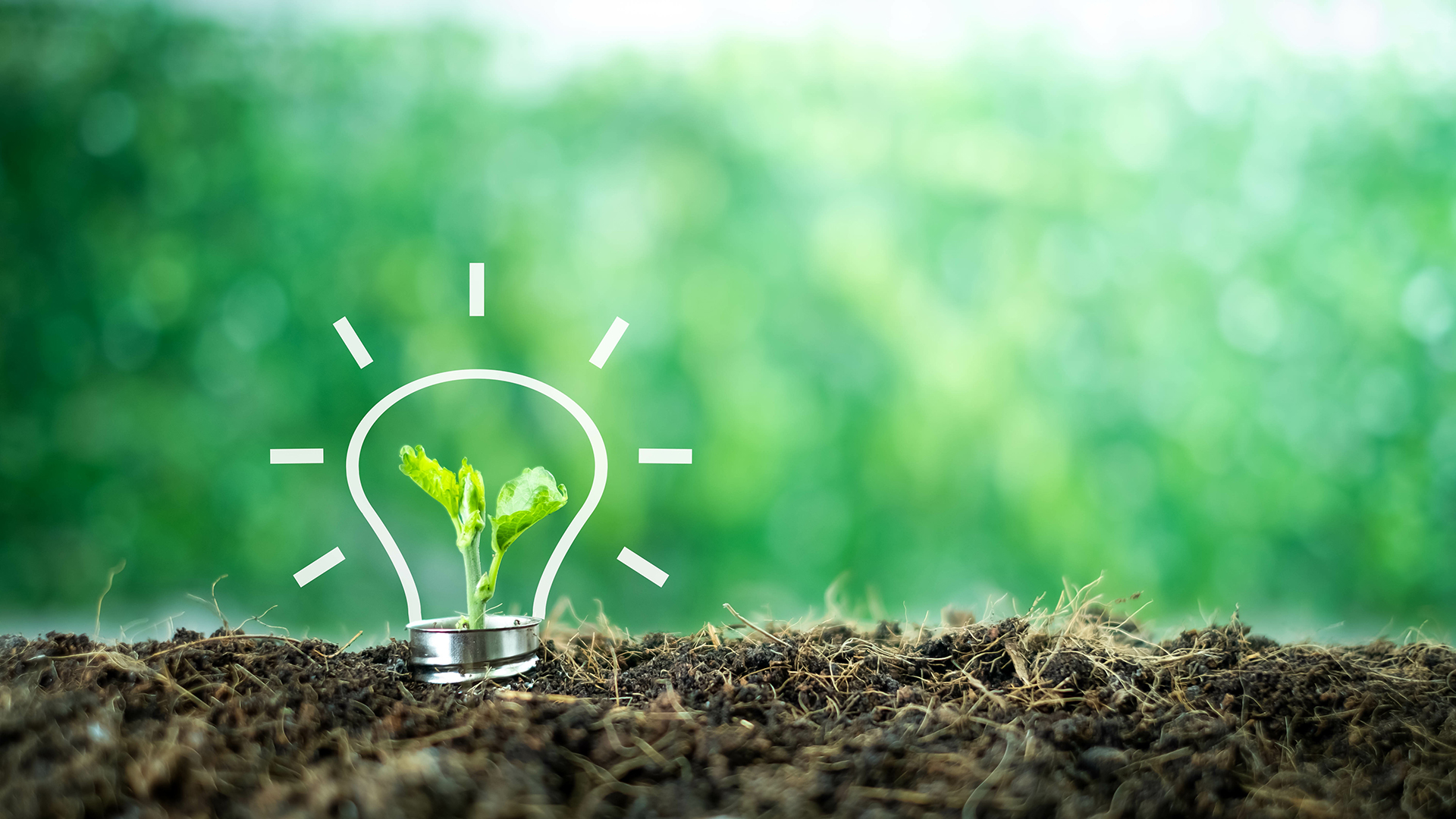 VERTONE cabinet de conseil stratégie transition transformation engagement social engagement écologique