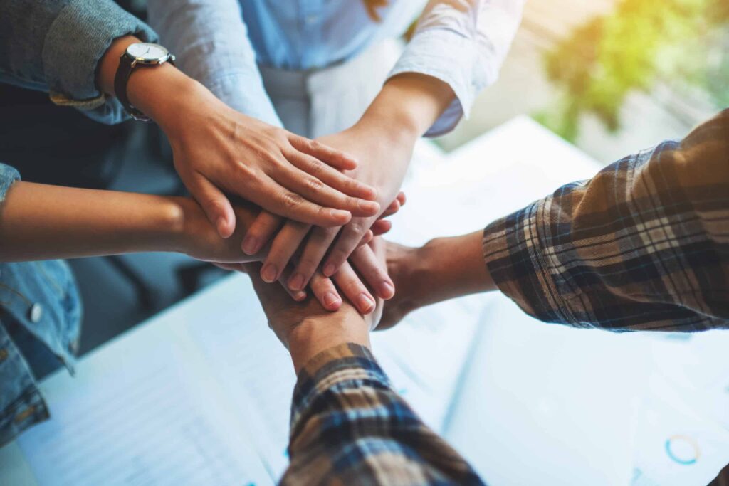 Vertone cabinet de conseil responsable stratégie marketing management