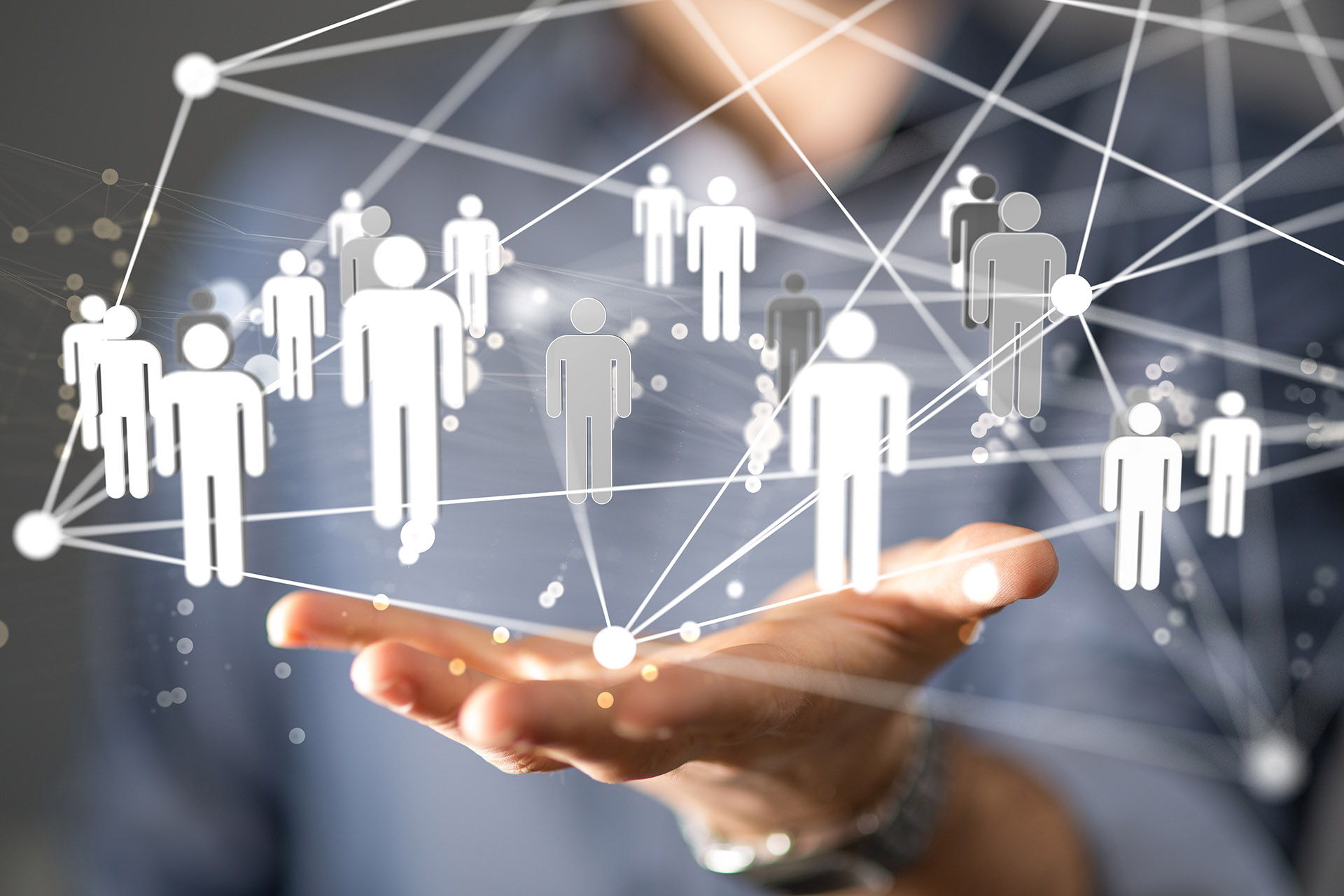 VERTONE cabinet de conseil innovation impact marketing stratégie management fidélisation