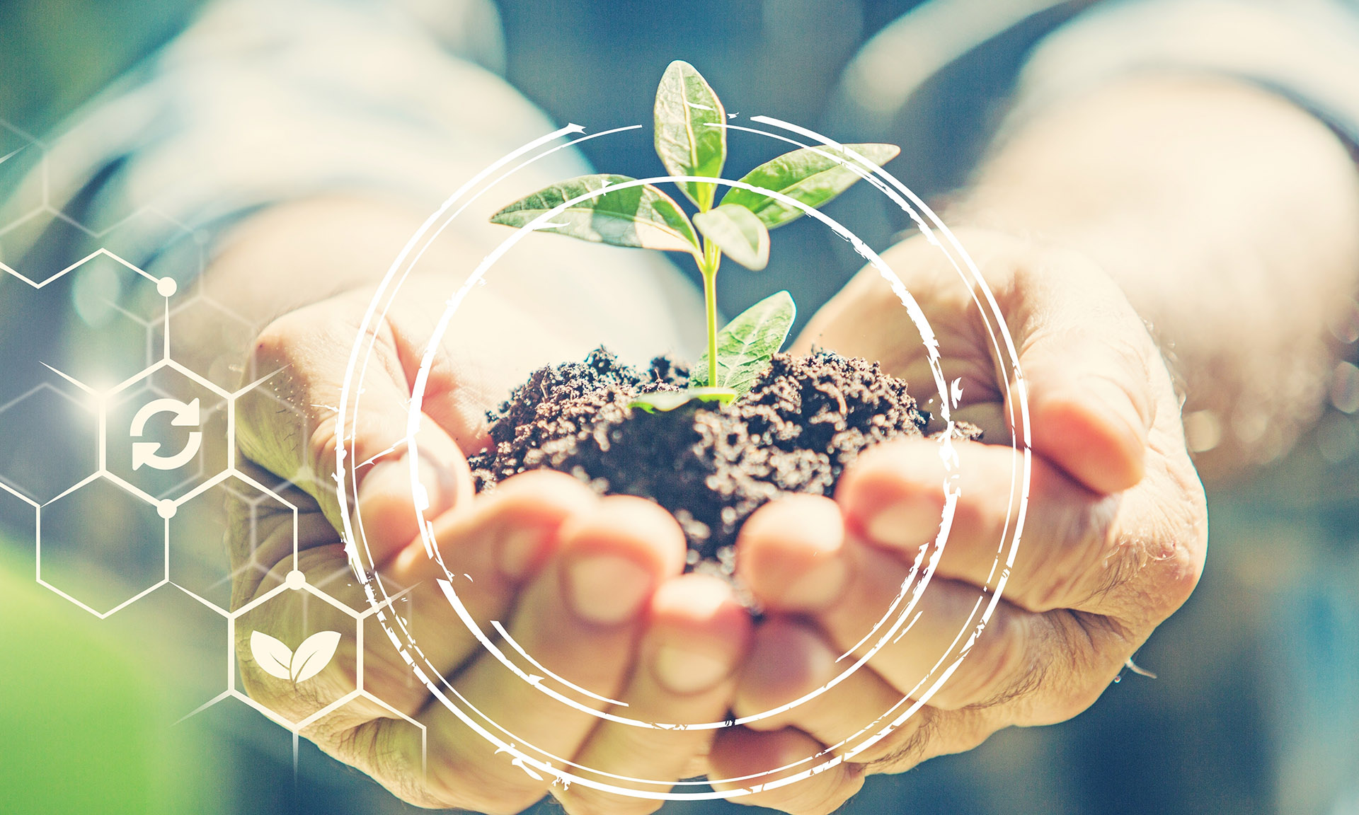 assurance marketing responsable cabinet de conseil vertone stratégie management