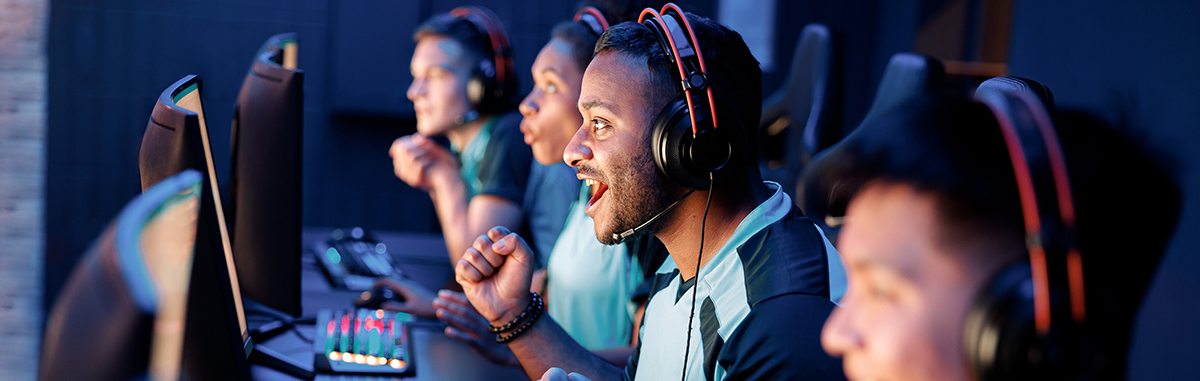 Cabinet de conseil Energie environnement VERTONE