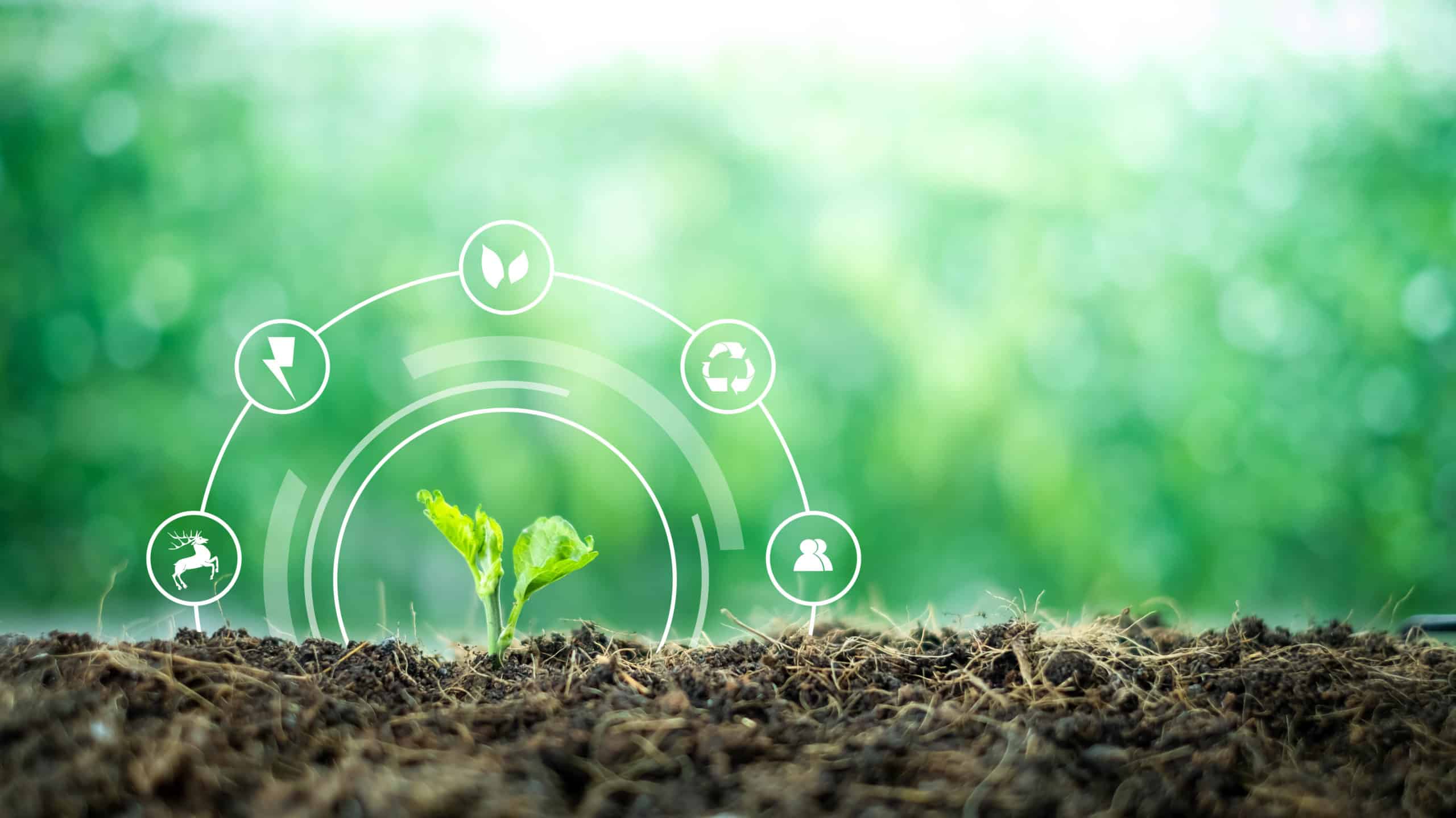 Cabinet de conseil Buisness Impact Positif VERTONE