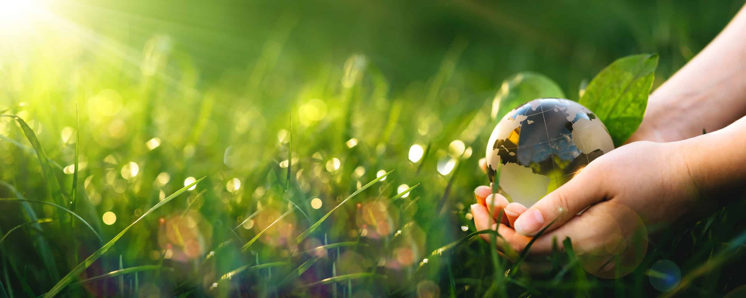 Cabinet de conseil Business Impact VERTONE