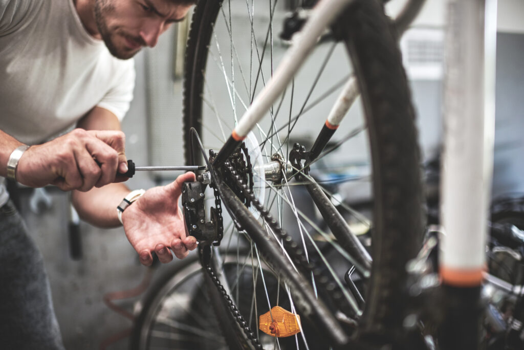 vélos à assistance électrique Cabinet de conseil Transport & Mobilité VERTONE