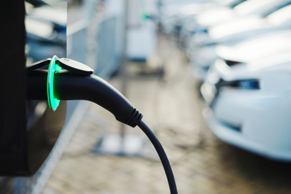 Cabinet de conseil Etude de marché VERTONE