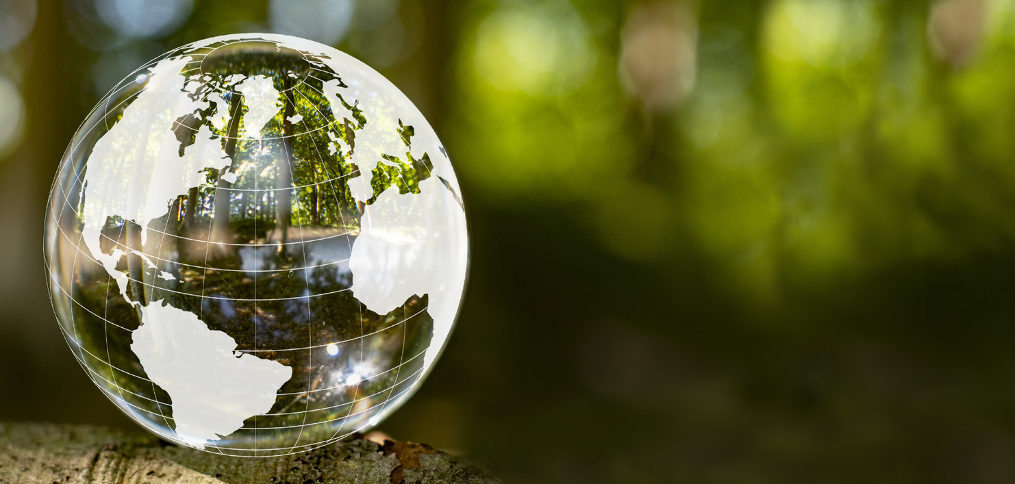 Cabinet de Conseil Stratégie Luxe RSE VERTONE