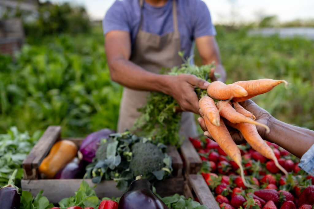 Diversification agricole Cabinet de conseil stratégie Agriculture